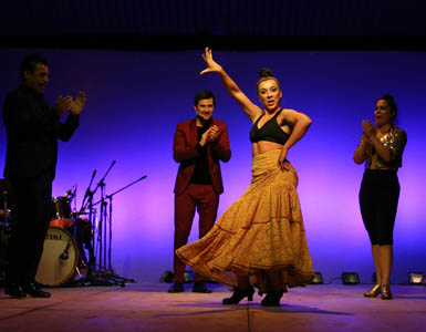 Jornadas Culturales