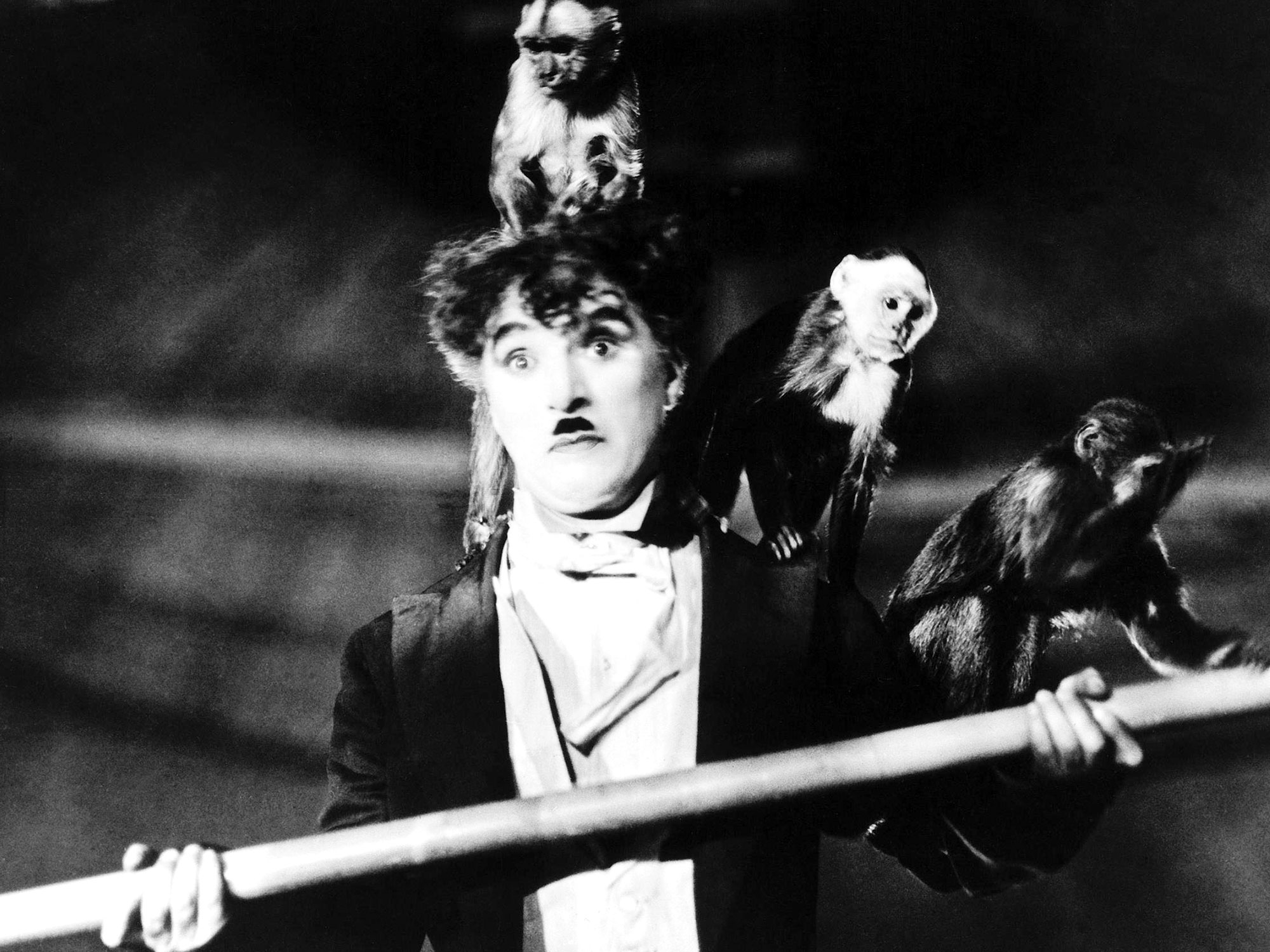 El circo