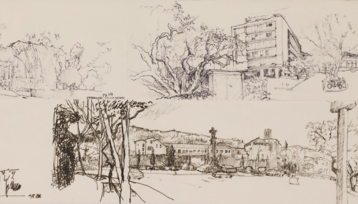 Punto de Vista, José Ignacio León Luque